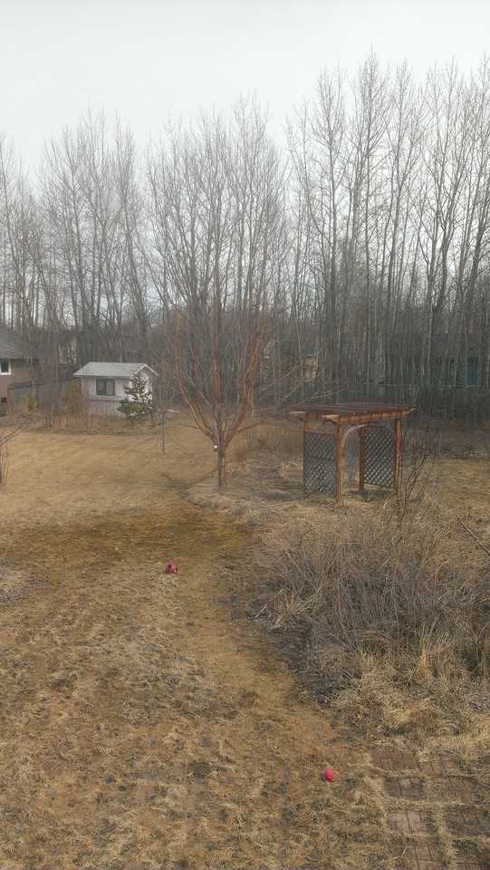 969 S Rebecca Dr - Photo 3 of 24