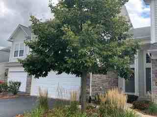 1471 Crimson - Photo 3 of 24