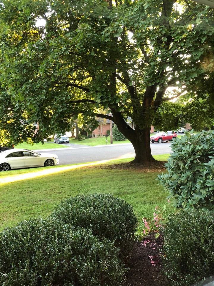 7 Locust Blvd - Photo 3 of 11