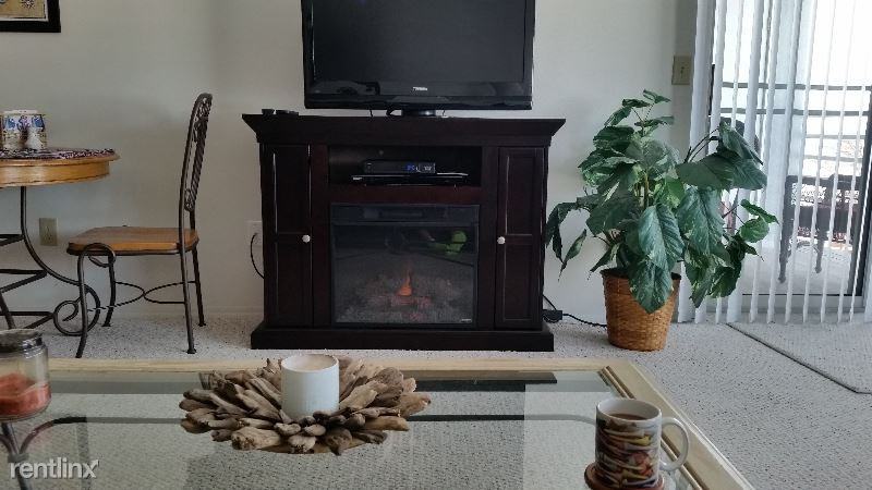 328 Clinton Reef Dr - Photo 3 of 13