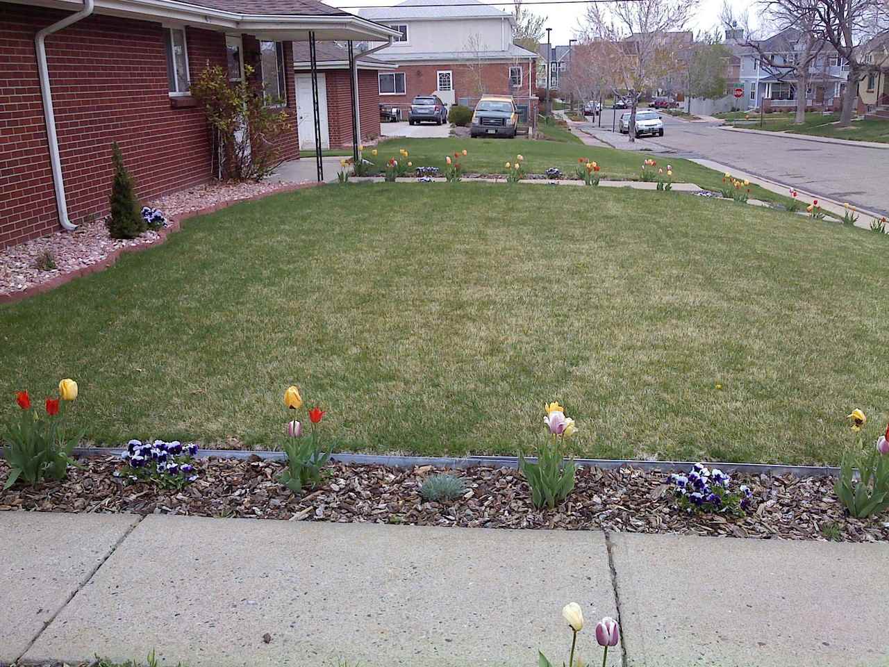 3505 Vrain Street - Photo 2 of 7
