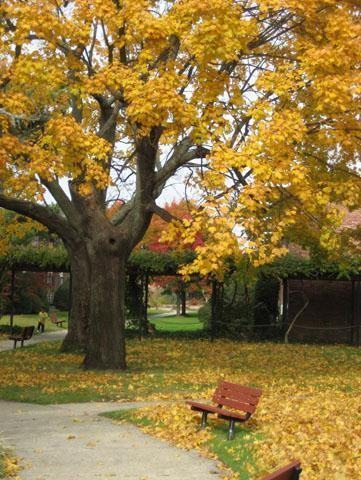 Bayshore Garden Apartments 425 E Main St, Bay Shore, NY 11706 Zumper