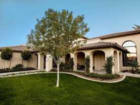 577 East Baseline Road - Photo 1 of 1