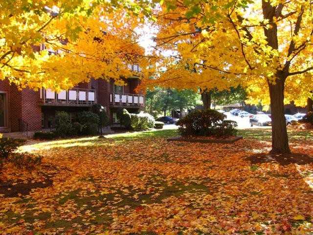 Rosemary Lake Apartments - Photo 2 of 13