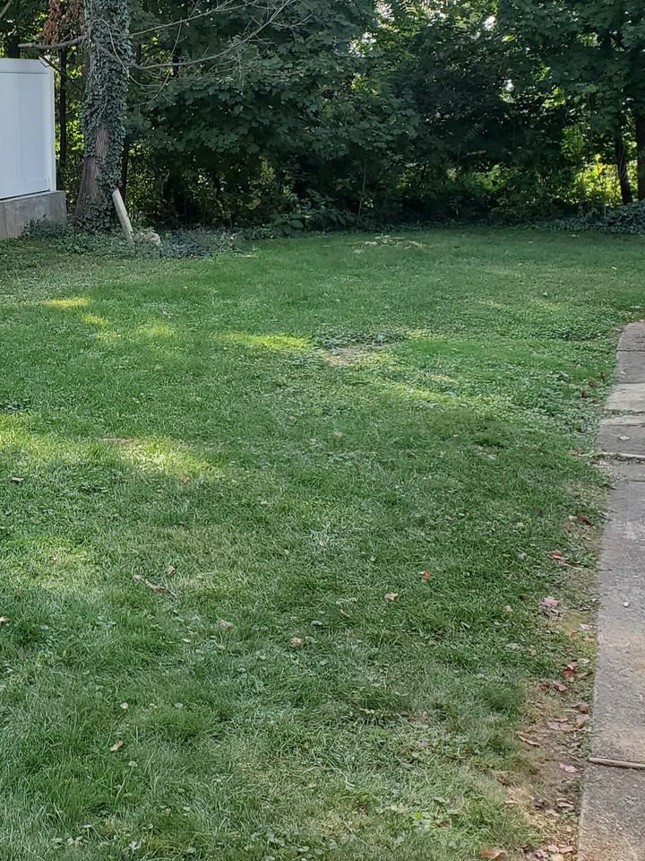 28 Eunice Pl #2 - Photo 3 of 10