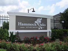 Hammock Oaks - Photo 2 of 16