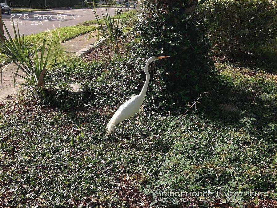 275 Park St N - Photo 2 of 9