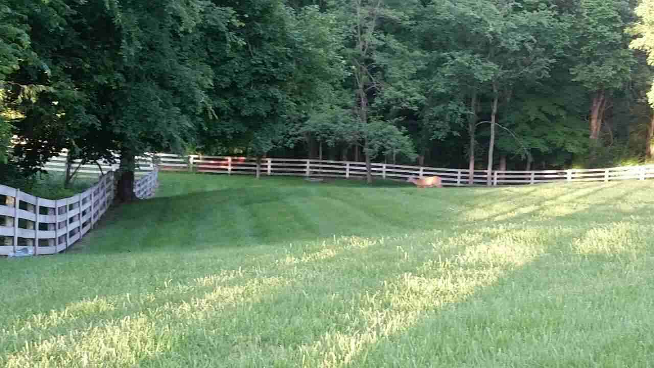 15098 Madison Pike - Photo 3 of 8