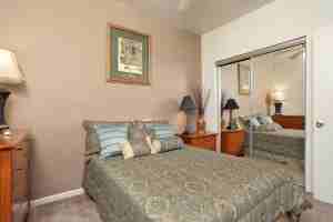 DeZavala Oaks - Photo 3 of 21