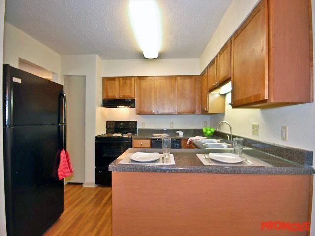 Lacota - Photo 3 of 10