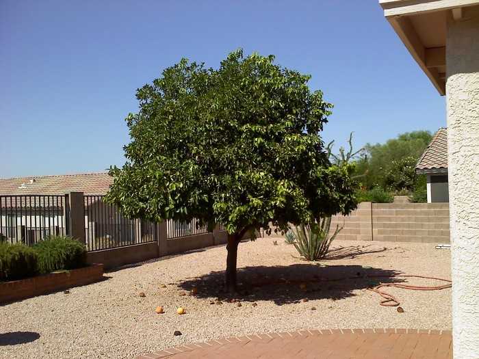 2565 West Bluffs Peak Court - Photo 2 of 6