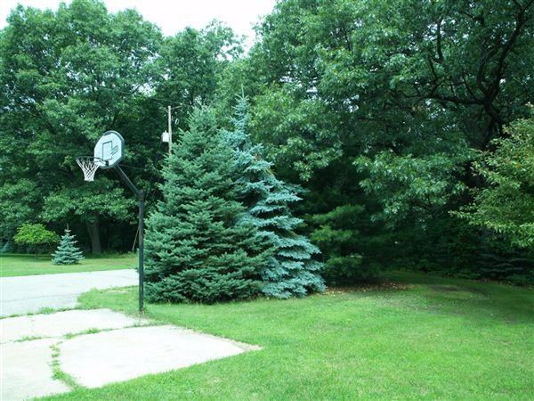 11783 Dublin Cir - Photo 3 of 18