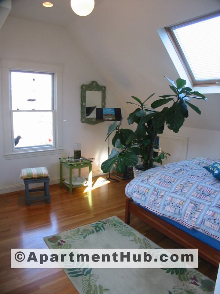 59 Elmwood St 3 - Photo 3 of 6