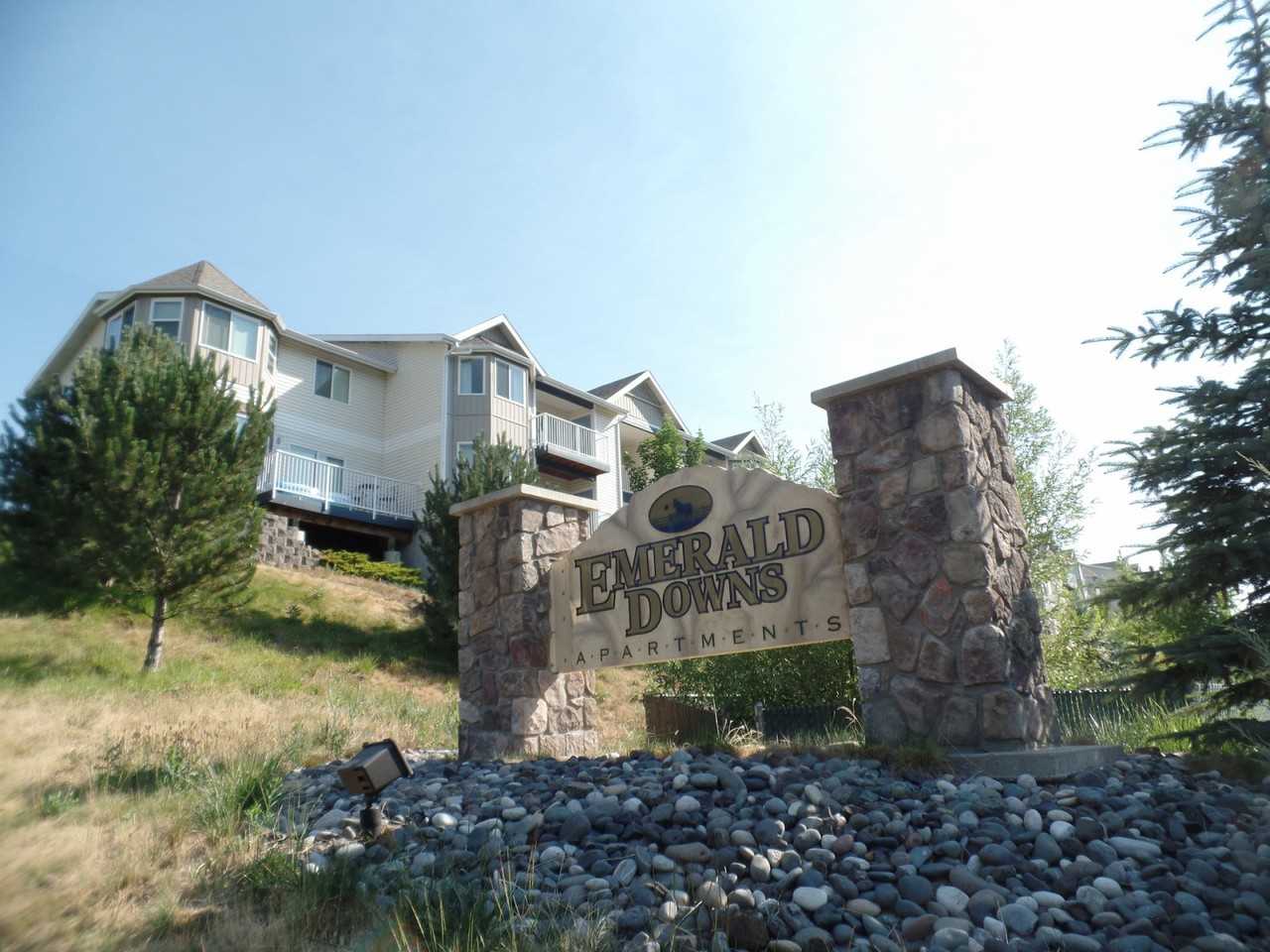 Emerald Downs Apartments 910 Ne Providence Ct, Pullman, WA 99163 Zumper