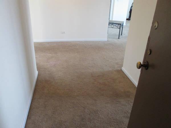 3410 N Lake Shore Dr #16AB