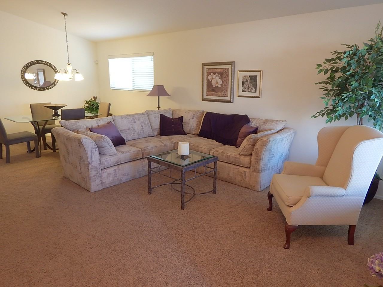 13800 N Buckhorn Cholla Dr - Photo 2 of 20