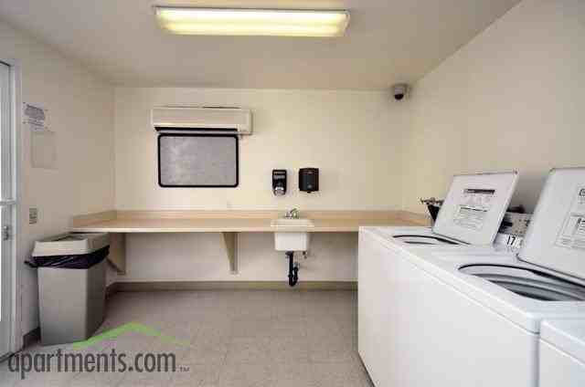 Silverhawk - Photo 2 of 29