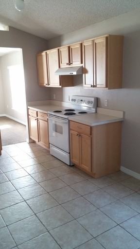 10426 Fly Fishing Street - Photo 2 of 7