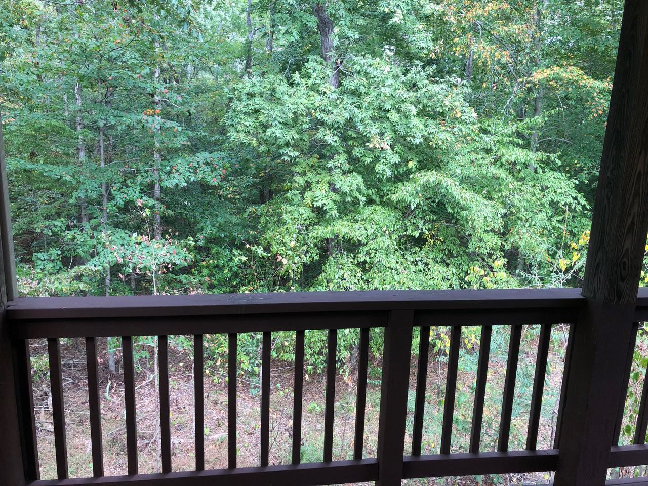83 Kestrel Ct - Photo 2 of 31