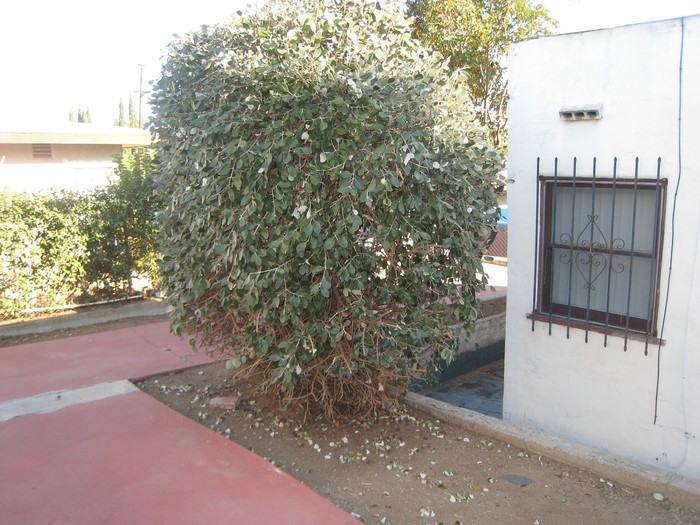 3437 46th Street - Photo 2 of 14