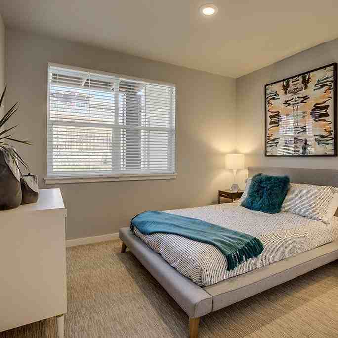 Sygnii - Photo 6 of 70