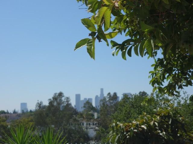 609 Camulos St - Photo 2 of 23