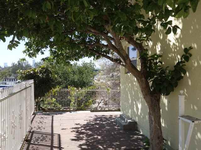 609 Camulos St - Photo 3 of 23