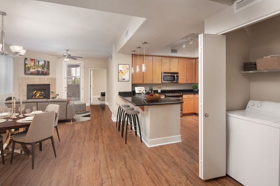 Camden Sotelo - Photo 2 of 38