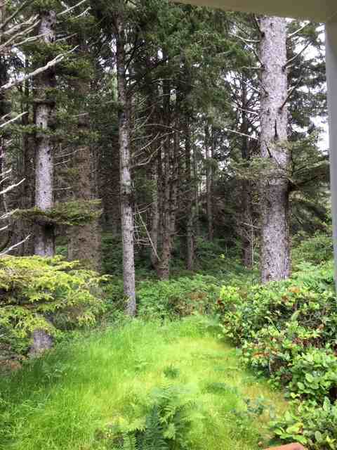 11301 Northwest Pacific Coast Highway - Photo 2 of 7