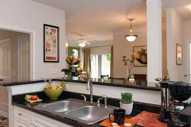 Bell Falls River - Photo 2 of 78