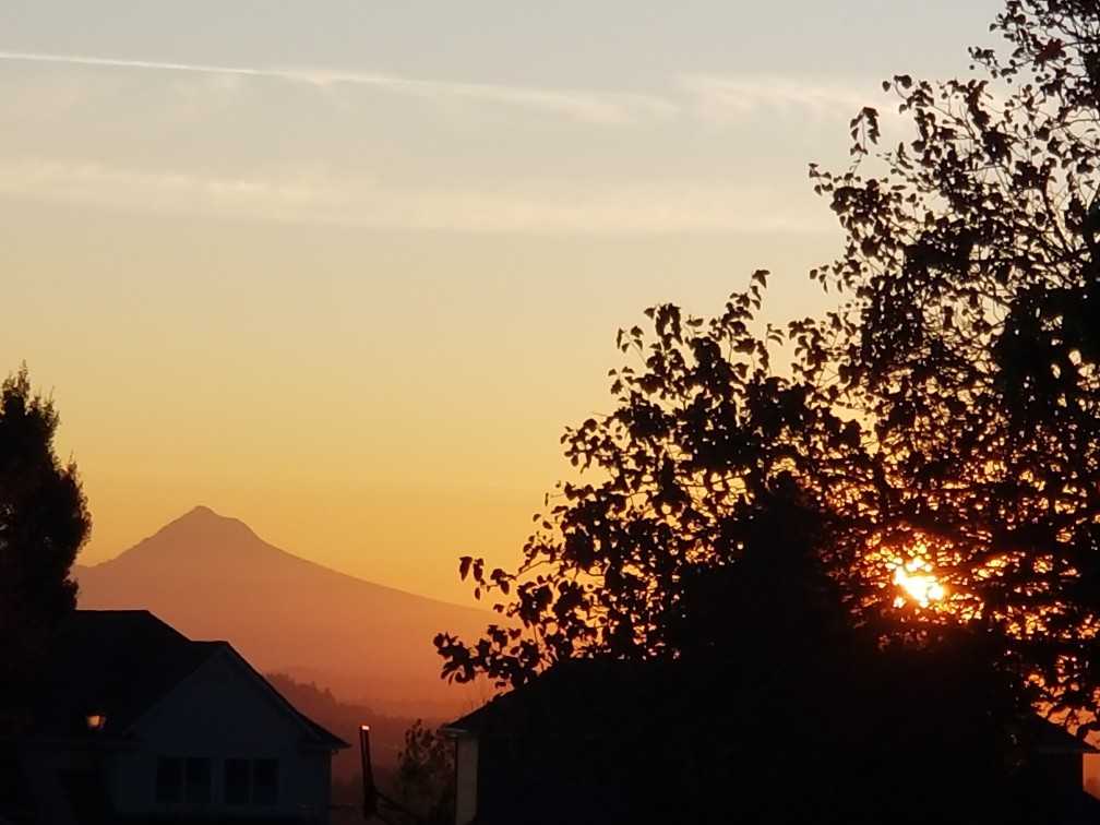 13403 Sw Essex Dr - Photo 3 of 16