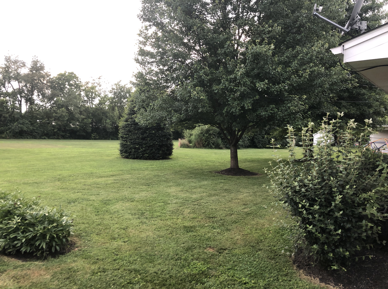 123 Woodmont Dr - Photo 3 of 26