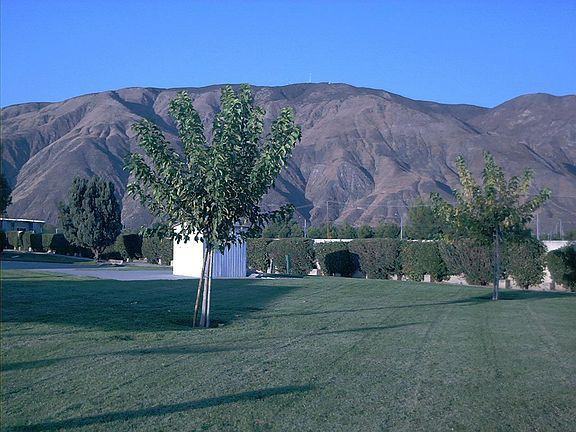 843 Fernwood Dr - Photo 2 of 7