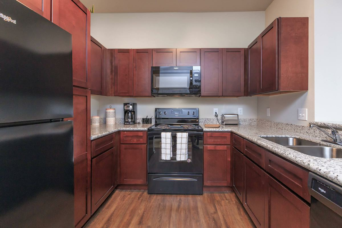 Aria at Wilcrest - Photo 3 of 15