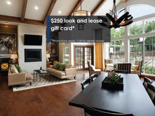 6907 Convict Hill Rd Austin Tx 78749 3 Bedroom Apartment