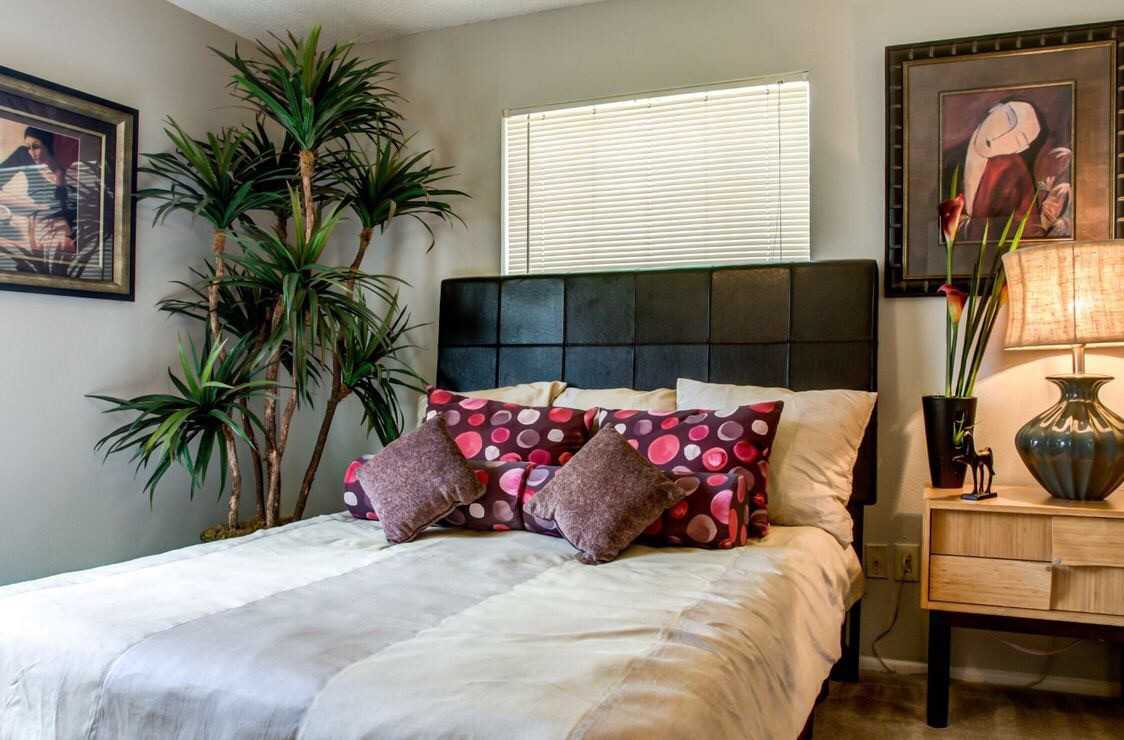 Rock Canyon Apartments - Photo 2 of 9