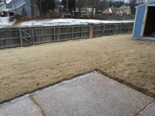 5405 Maiden Grass Drive - Photo 2 of 15