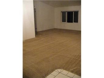 429 Collins Rd - Photo 3 of 6