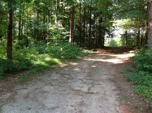 625 Dream Ln - Photo 3 of 4