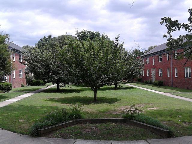 Castle Manor - Photo 2 of 11