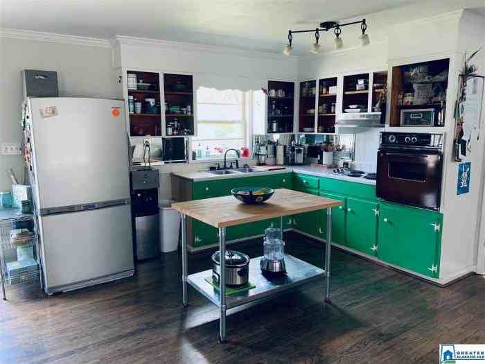 4321 Dolly Ridge Ln - Photo 3 of 15