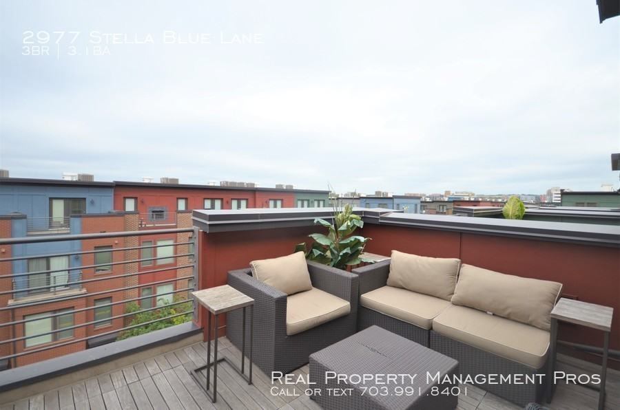 2977 Stella Blue Lane - Photo 3 of 36