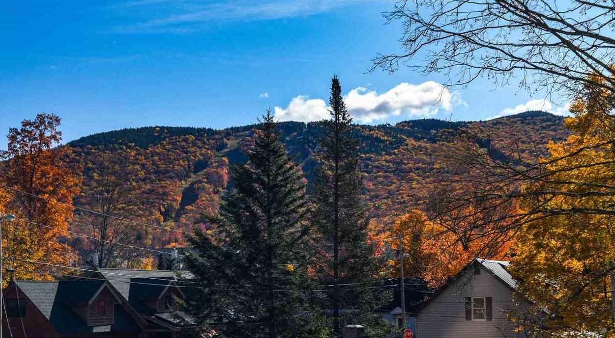 15 Boyle Street - Photo 2 of 36