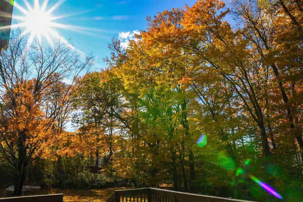 15 Boyle Street - Photo 3 of 36