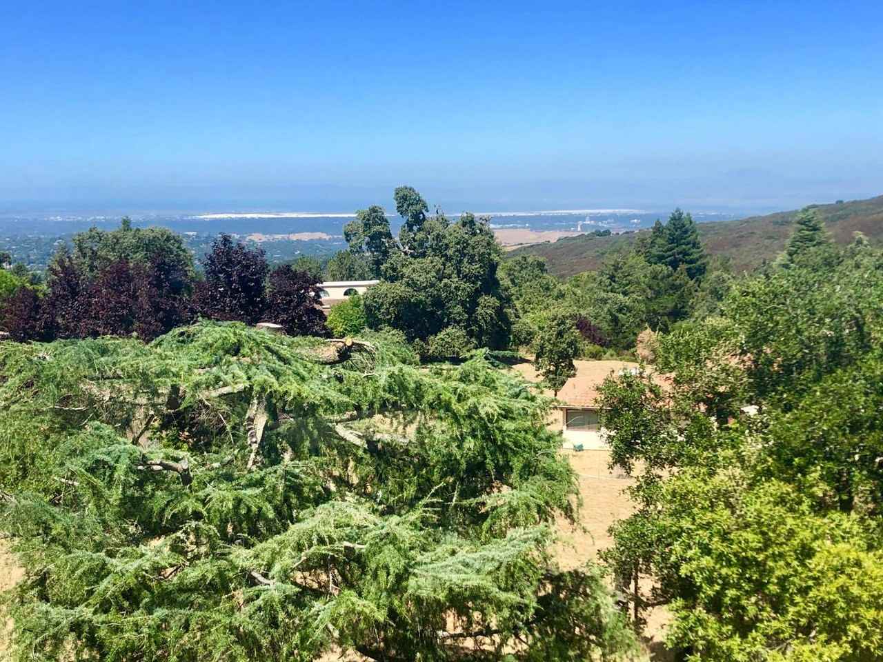 56 Vista Verde Way - Photo 2 of 21