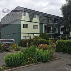 770 Apartments For Rent In Richmond Bc Zumper