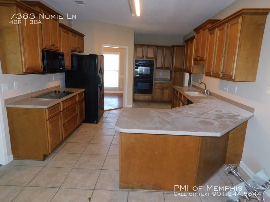 7383 Numie Ln - Photo 3 of 18