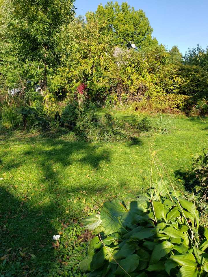 2062 4th St E - Photo 3 of 3