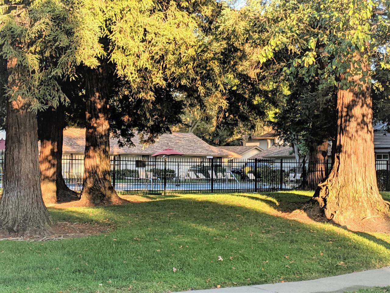 1985 Countrywood Ct - Photo 2 of 19