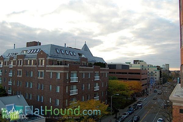 931 Massachusetts Ave - Photo 3 of 17